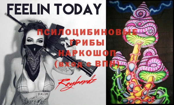 прущая мука Алзамай